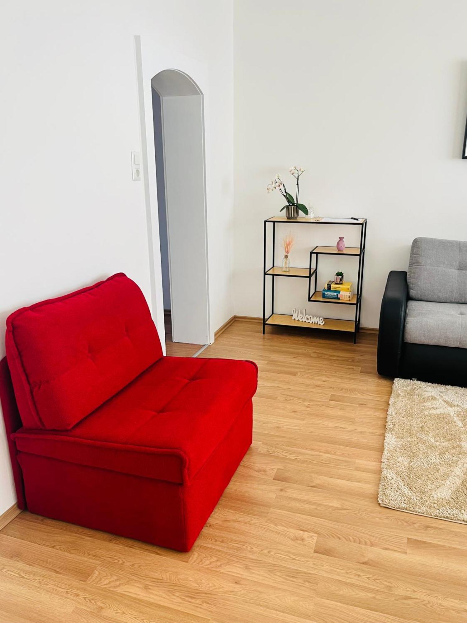 Magnifique Appartment Linz Esterno foto